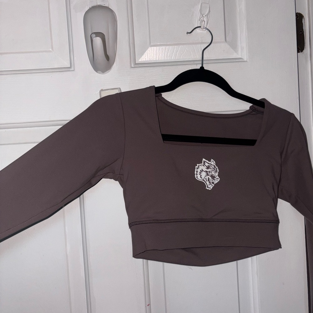 Darc Sport Brown Long Sleeve Crop Top